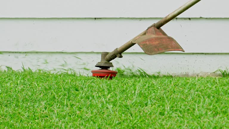 Best Organic Lawn Care Solutions  in Friendswood, TX